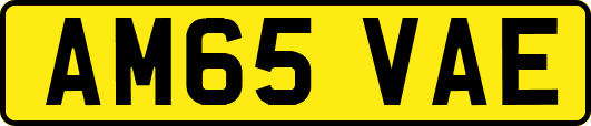 AM65VAE