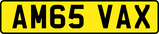 AM65VAX
