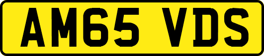 AM65VDS