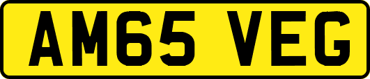 AM65VEG
