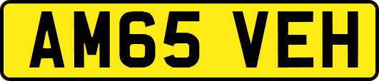 AM65VEH