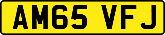 AM65VFJ