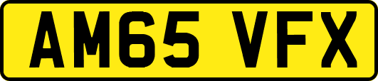 AM65VFX