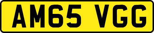 AM65VGG