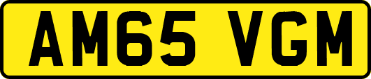 AM65VGM