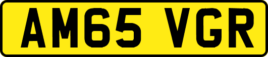 AM65VGR