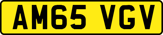 AM65VGV