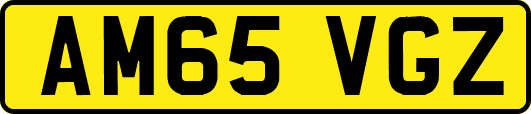 AM65VGZ