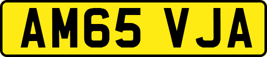 AM65VJA