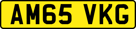 AM65VKG