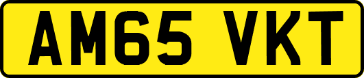 AM65VKT