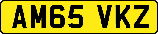 AM65VKZ