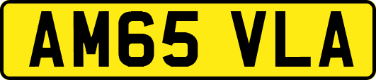 AM65VLA