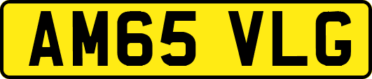 AM65VLG