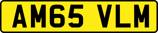 AM65VLM