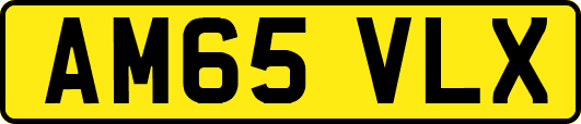 AM65VLX