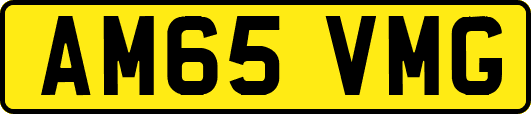 AM65VMG