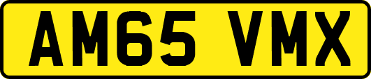 AM65VMX