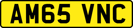 AM65VNC
