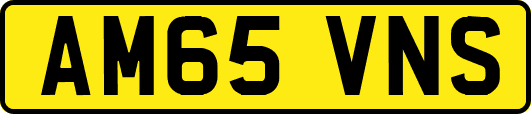 AM65VNS
