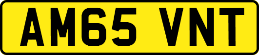 AM65VNT