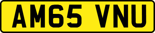 AM65VNU