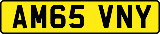 AM65VNY