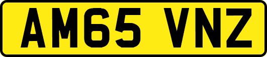 AM65VNZ