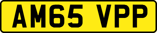 AM65VPP