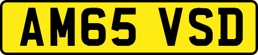 AM65VSD