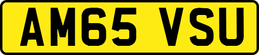 AM65VSU