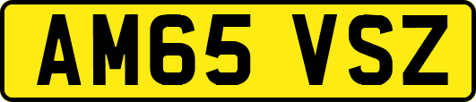AM65VSZ