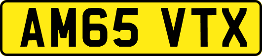 AM65VTX