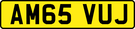 AM65VUJ