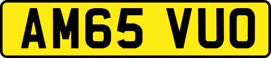 AM65VUO