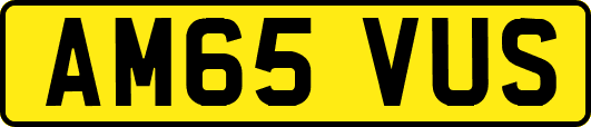AM65VUS