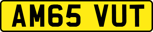 AM65VUT