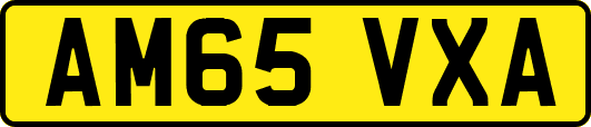 AM65VXA
