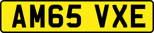 AM65VXE