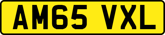 AM65VXL