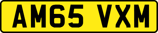 AM65VXM