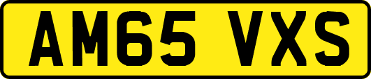 AM65VXS