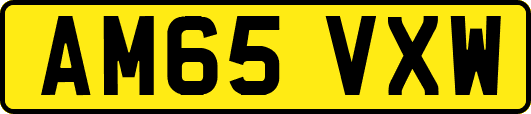 AM65VXW