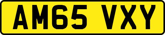 AM65VXY
