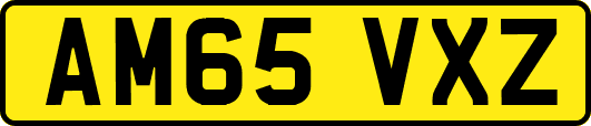 AM65VXZ