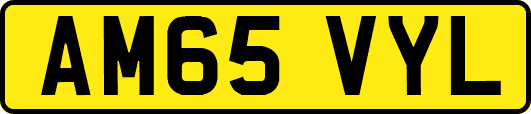 AM65VYL