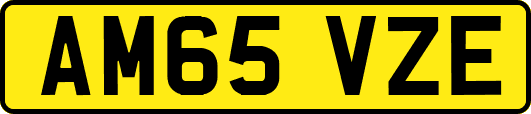 AM65VZE