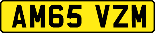AM65VZM