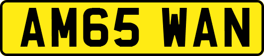 AM65WAN