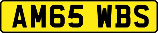 AM65WBS